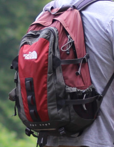 Lost/Stolen The North Face Hot Shot Backpack